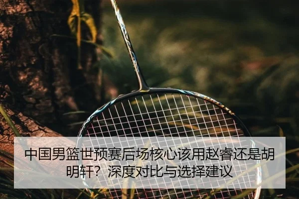 中国男篮世预赛后场核心该用赵睿还是胡明轩？深度对比与选择建议